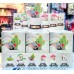 MDS-006-Disney Pocket Plants Series (原盒6pcs)